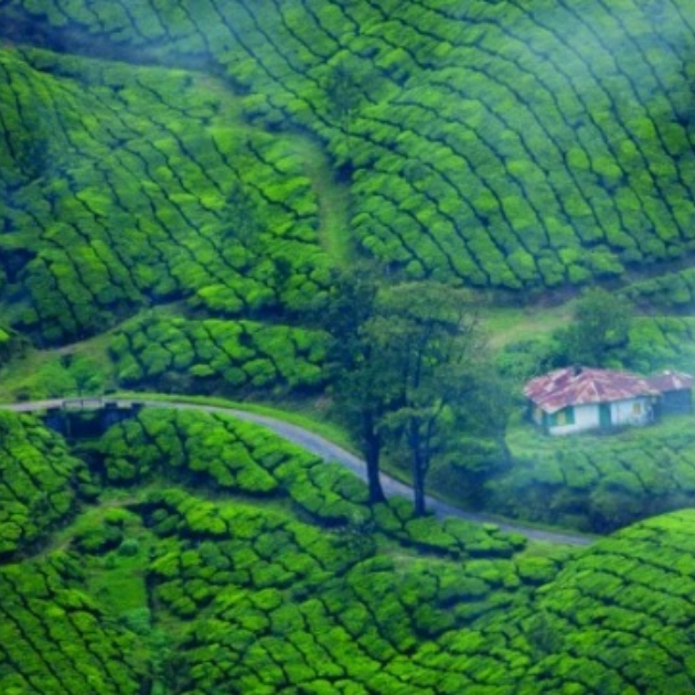 Madurai – Munnar – Thekkady Tour